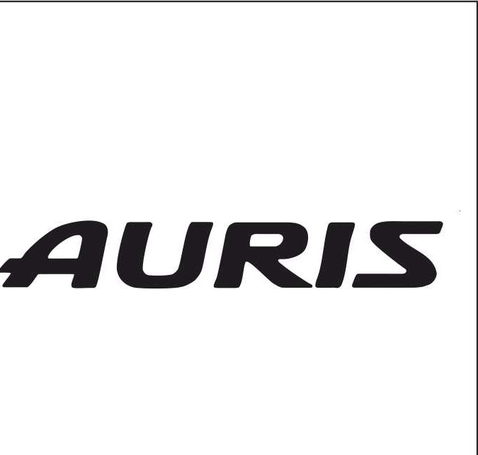  AURIS 07/19